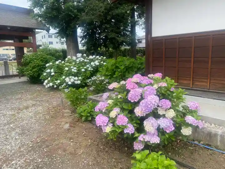 曹源寺(群馬県)