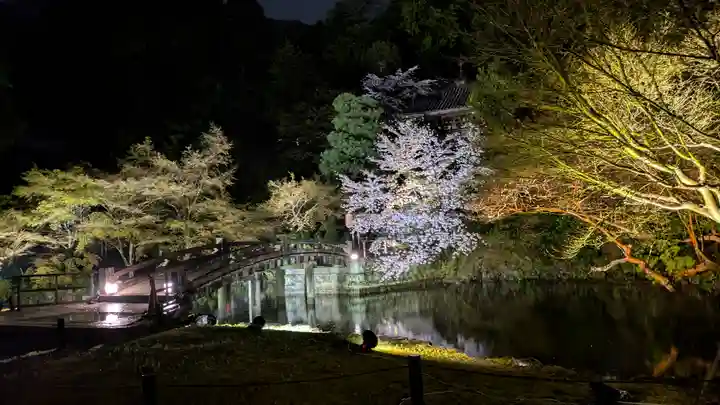 知恩院(京都府)