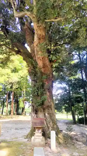 稲田神社(茨城県)