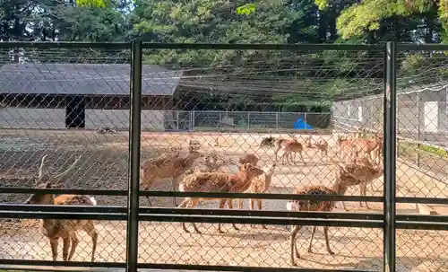 鹿島神宮(茨城県)