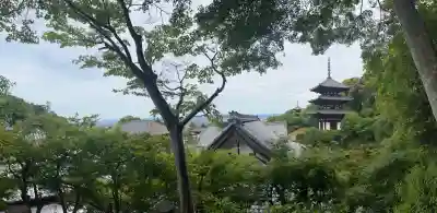 當麻寺の{uncategorized: "未分類", other: "その他", undefined: "問題あり", building: "その他建物", grave: "お墓", sacred_gate: "鳥居", guardian: "狛犬", statue: "像", buddha: "仏像", history: "歴史", nature: "自然", garden: "庭園", animal: "動物", pagoda: "塔", temizu: "手水舎", mountain_gate: "山門・神門", sanctuary: "本殿・本堂", subordinate: "末社・摂社", art: "芸術", scenery: "景色", jizo: "地蔵", ema: "絵馬", goshuin: "御朱印", omikuji: "おみくじ", items: "授与品その他", amulet: "お守り", goshuincho: "御朱印帳", eats: "食事", festival: "お祭り", votive_dance: "神楽", shichigosan: "七五三参", wedding: "結婚式", experience: "体験その他", initially: "初詣", around: "周辺", anti_infection: "感染症対策"}