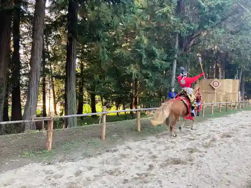 出雲伊波比神社(埼玉県)