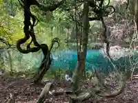 丸池神社(山形県)