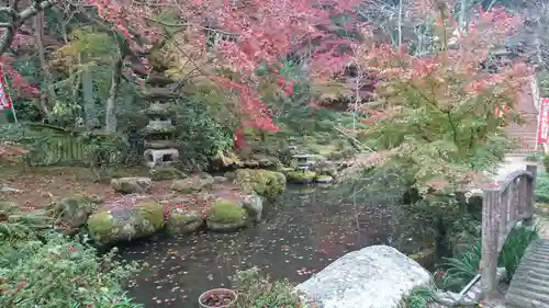 地蔵院の庭園