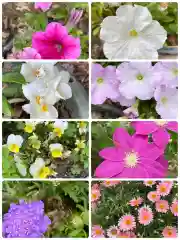 岡部春日神社～👹鬼門よけの🌺花咲く🌺やしろ～(福島県)