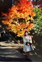 禅林寺(永観堂)の自然