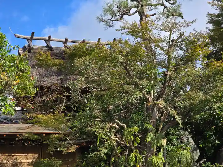 泉徳寺(京都府)