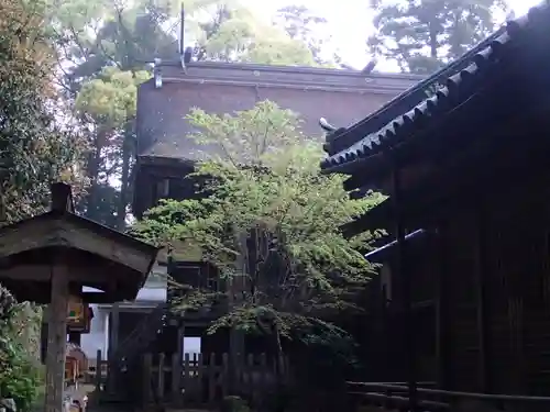 厳原八幡宮神社のその他建物