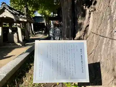 飛木稲荷神社(東京都)