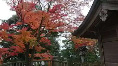 唐澤山神社のその他建物