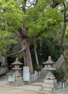 垂水神社(大阪府)