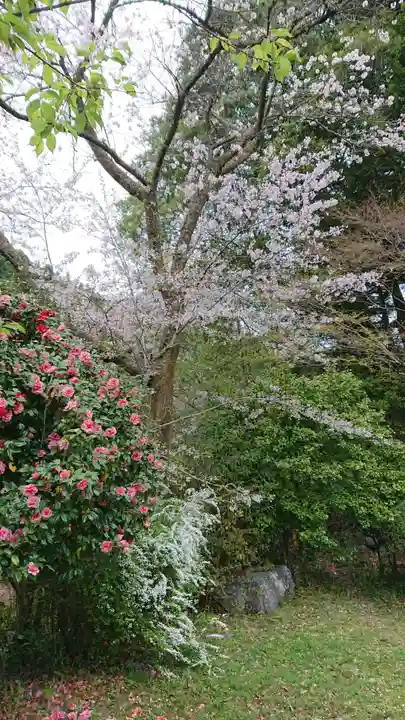 青渭神社里宮の自然