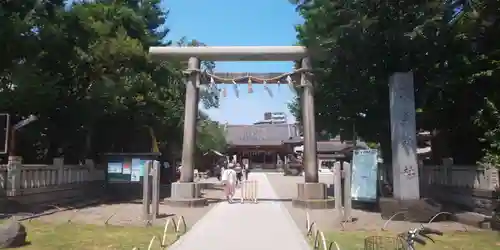 浅草神社の鳥居