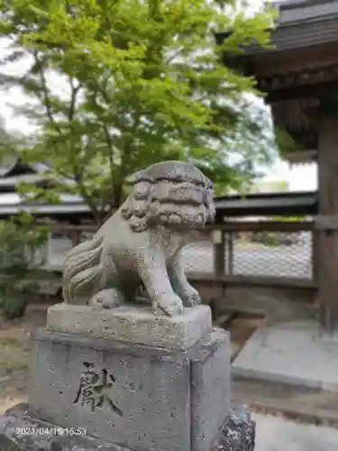 須賀神社の狛犬