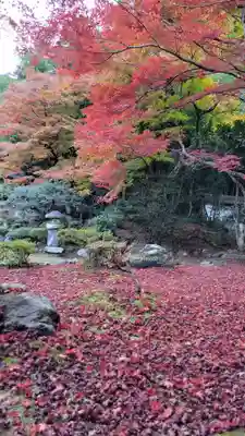 清滝寺徳源院(滋賀県)