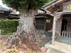 玉津島神社(福井県)