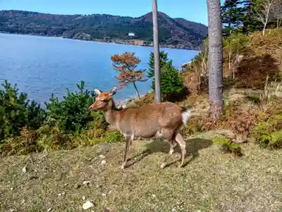 金華山黄金山神社(宮城県)
