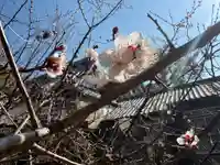 一乗院(和歌山県)