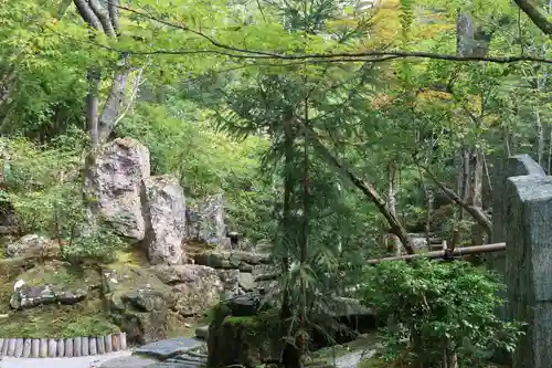 宝泉院(京都府)