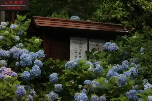 国宝 大法寺の自然