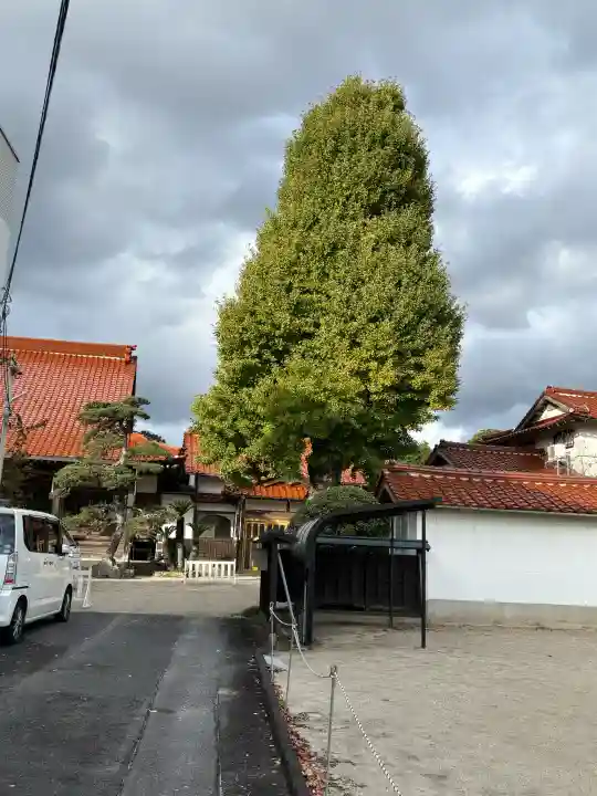 日蔵寺の{uncategorized: "未分類", other: "その他", undefined: "問題あり", building: "その他建物", grave: "お墓", sacred_gate: "鳥居", guardian: "狛犬", statue: "像", buddha: "仏像", history: "歴史", nature: "自然", garden: "庭園", animal: "動物", pagoda: "塔", temizu: "手水舎", mountain_gate: "山門・神門", sanctuary: "本殿・本堂", subordinate: "末社・摂社", art: "芸術", scenery: "景色", jizo: "地蔵", ema: "絵馬", goshuin: "御朱印", omikuji: "おみくじ", items: "授与品その他", amulet: "お守り", goshuincho: "御朱印帳", eats: "食事", festival: "お祭り", votive_dance: "神楽", shichigosan: "七五三参", wedding: "結婚式", experience: "体験その他", initially: "初詣", around: "周辺", anti_infection: "感染症対策"}