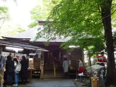 中尊寺の本殿・本堂
