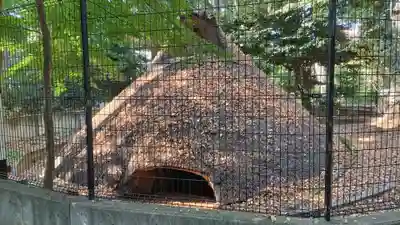 代々木八幡宮の歴史