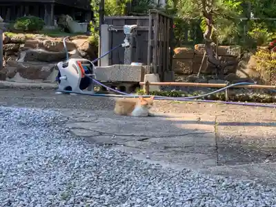 宝昌院(千葉県)