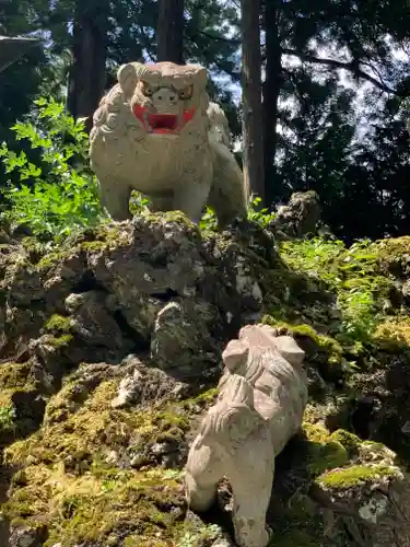 富士山東口本宮 冨士浅間神社の狛犬