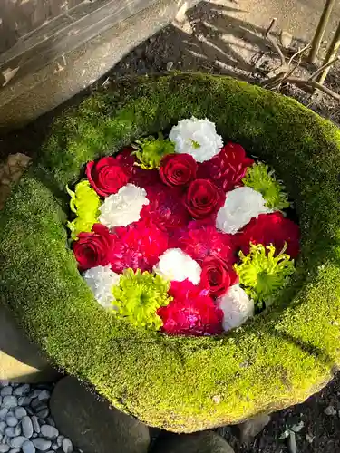 菅生神社(愛知県)