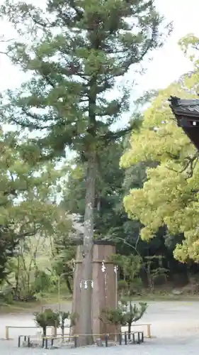 伊太祁曽神社(和歌山県)