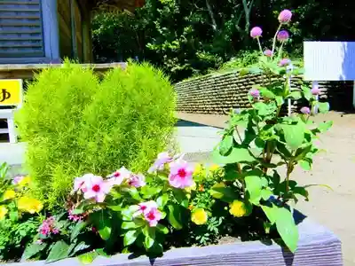 玉崎神社の自然