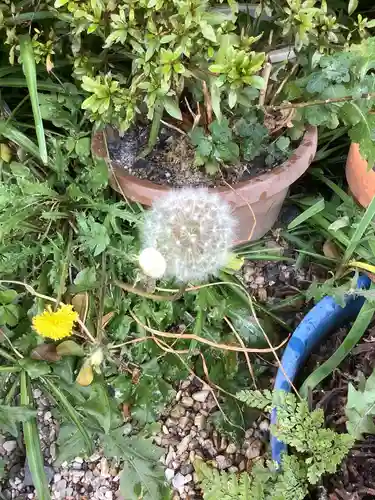 三輪神社の自然