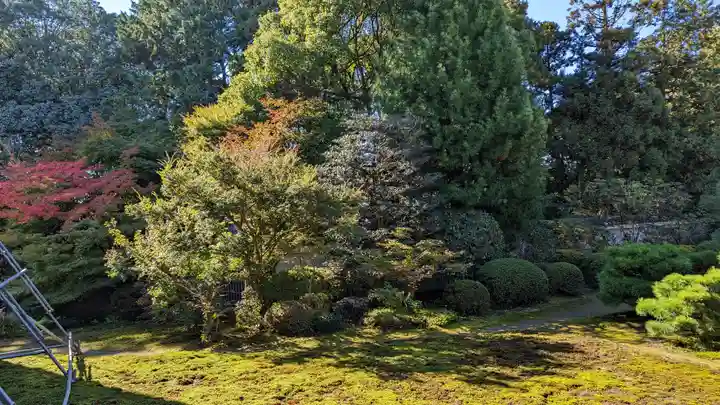 隨心院(随心院)(京都府)