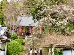 仏隆寺(奈良県)