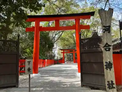 河合神社(鴨川合坐小社宅神社)の鳥居