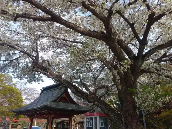 二十三夜尊 桂岸寺の景色