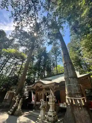 御杖神社の{uncategorized: "未分類", other: "その他", undefined: "問題あり", building: "その他建物", grave: "お墓", sacred_gate: "鳥居", guardian: "狛犬", statue: "像", buddha: "仏像", history: "歴史", nature: "自然", garden: "庭園", animal: "動物", pagoda: "塔", temizu: "手水舎", mountain_gate: "山門・神門", sanctuary: "本殿・本堂", subordinate: "末社・摂社", art: "芸術", scenery: "景色", jizo: "地蔵", ema: "絵馬", goshuin: "御朱印", omikuji: "おみくじ", items: "授与品その他", amulet: "お守り", goshuincho: "御朱印帳", eats: "食事", festival: "お祭り", votive_dance: "神楽", shichigosan: "七五三参", wedding: "結婚式", experience: "体験その他", initially: "初詣", around: "周辺", anti_infection: "感染症対策"}