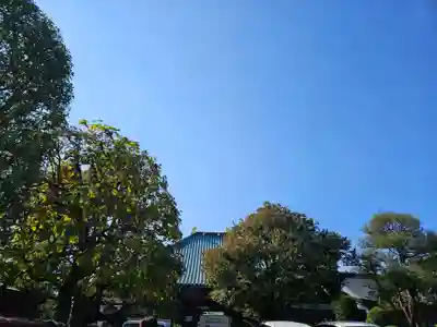 長喜院(埼玉県)