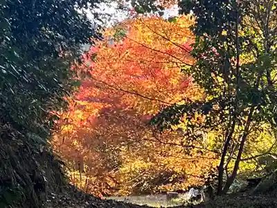 弘川寺(大阪府)
