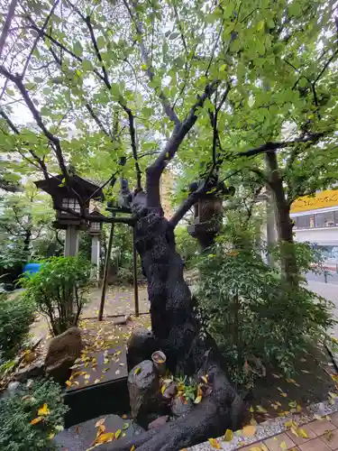 金刀比羅宮東京分社の自然