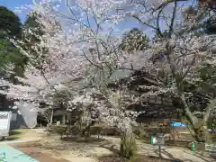 松尾寺(京都府)