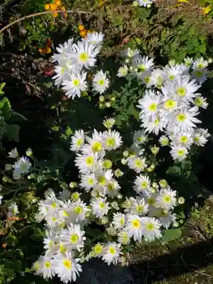 石都々古和気神社(福島県)