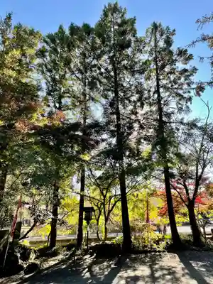 涌釜神社(栃木県)