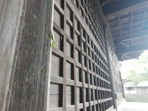 酒門神社の動物