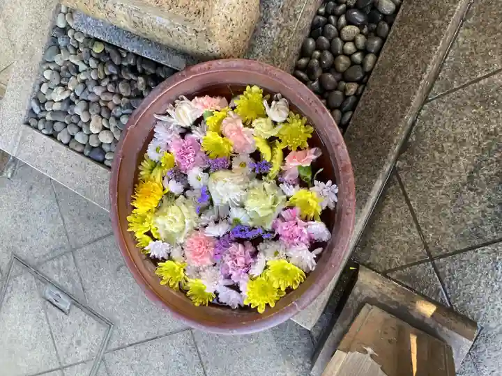 日蓮宗 浄運寺(東京都)