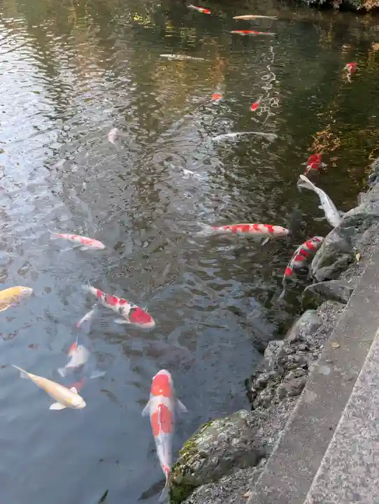 氣比神宮の{uncategorized: "未分類", other: "その他", undefined: "問題あり", building: "その他建物", grave: "お墓", sacred_gate: "鳥居", guardian: "狛犬", statue: "像", buddha: "仏像", history: "歴史", nature: "自然", garden: "庭園", animal: "動物", pagoda: "塔", temizu: "手水舎", mountain_gate: "山門・神門", sanctuary: "本殿・本堂", subordinate: "末社・摂社", art: "芸術", scenery: "景色", jizo: "地蔵", ema: "絵馬", goshuin: "御朱印", omikuji: "おみくじ", items: "授与品その他", amulet: "お守り", goshuincho: "御朱印帳", eats: "食事", festival: "お祭り", votive_dance: "神楽", shichigosan: "七五三参", wedding: "結婚式", experience: "体験その他", initially: "初詣", around: "周辺", anti_infection: "感染症対策"}