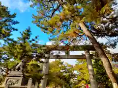 北野天満宮の鳥居