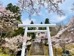 土津神社｜こどもと出世の神さまの鳥居