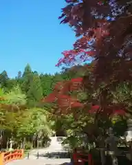 高野山金剛峯寺(和歌山県)